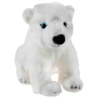 Netto Marken-Discount HEUNEC BEDROHTE TIERE EisBär Angebot