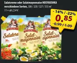 Mix Markt Salatcreme oder Salatmayonnaise HOSYAUSHKA Angebot