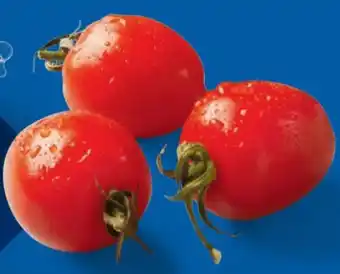 Lidl Cherrystrauchtomaten Angebot