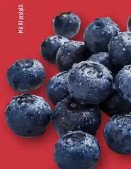 Aldi Nord Kulturheidelbeeren Angebot