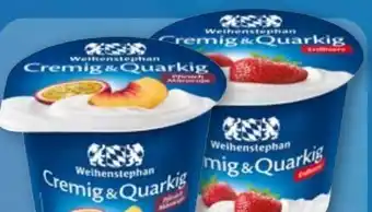 Aldi Nord Weihenstephan Fruchtquark Angebot