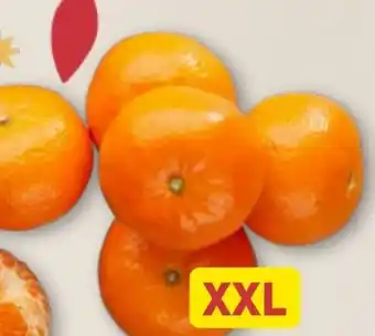 Aldi Nord XXL Clementinen Angebot