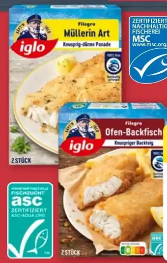 Aldi Nord Iglo Filegro Angebot