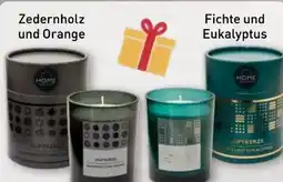 Aldi Nord Home Creation Duftkerze Angebot