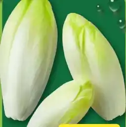 Aldi Nord Chicoree Angebot