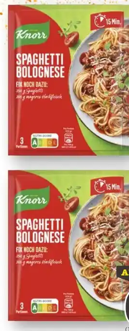 Scheck-in-Center Knorr Fix Angebot