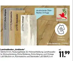 Hellweg Specht holzprodukte laminatboden „ambiente“ Angebot