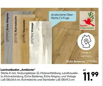 Hellweg Specht holzprodukte laminatboden „ambiente“ Angebot