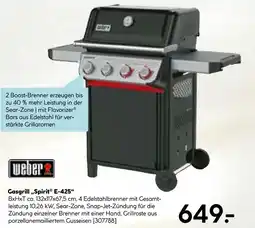 Hellweg Weber gasgrill spirit e-425 Angebot