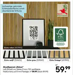 Hellweg Specht holzprodukte akustikpaneel deluxe Angebot