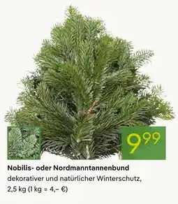 Pflanzen Kölle Nobilis- oder nordmanntannenbund Angebot