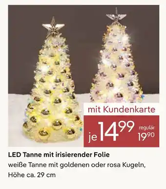 Pflanzen Kölle Led tanne mit irisierender folie Angebot