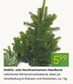 Pflanzen Kölle Nobilis- oder nordmanntannen-handbund Angebot