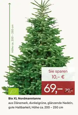 Pflanzen Kölle Bio xl nordmanntanne Angebot