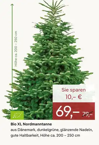 Pflanzen Kölle Bio xl nordmanntanne Angebot