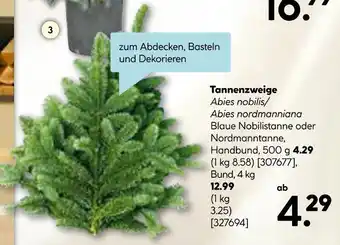 Hellweg Tannenzweige Angebot