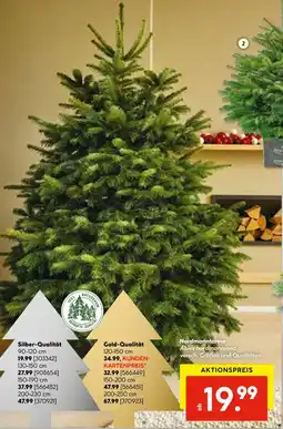 Hellweg Nordmanntanne silber-qualität Angebot