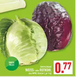 Marktkauf Weisskohl Angebot