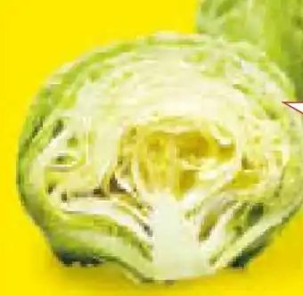 Netto Marken-Discount Eisbergsalat Angebot