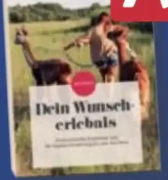 Aldi Nord mydays Dein Wunscherlebnis Angebot