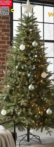 Globus Baumarkt Primaster Tannenbaum Angebot