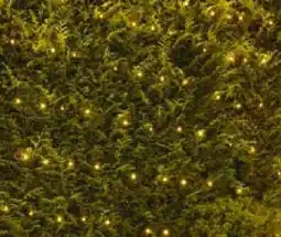 Hellweg Weihnachts LED-Lichternetz Angebot