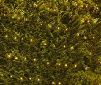 Hellweg Weihnachts LED-Lichternetz Angebot