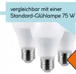 Hellweg Flector LED-Glühlampe E27 Angebot