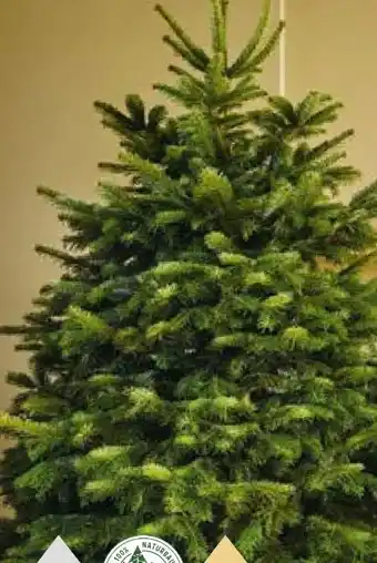 Hellweg Weihnachtsbaum Nordmanntanne Angebot