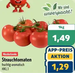 Aktiv Irma Niederlande Strauchtomaten Angebot