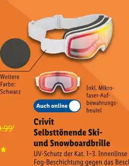 Lidl Crivit selbsttönende ski- und snowboardbrille Angebot