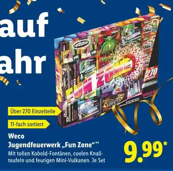 Lidl Weco jugendfeuerwerk fun zone Angebot