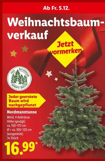 Lidl Nordmanntanne Angebot