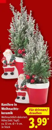 Lidl Konifere in weihnachtskeramik Angebot
