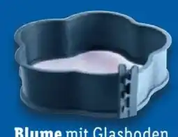 Lidl Coox Springform Blume Angebot