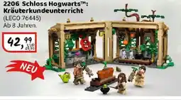 Idee+Spiel LEGO HARRY POTTER 2206 Schloss Hogwarts: Kräuterkundeunterricht (LEGO 76445) Angebot