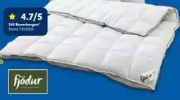 Lidl Fjödur 4-Jahreszeiten-Daunendecke Angebot
