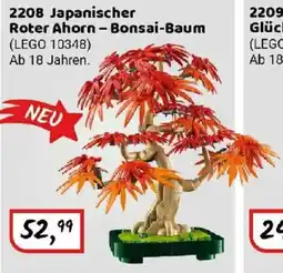 Idee+Spiel LEGO BOTANICALS 2208 Japanischer Roter Ahorn - Bonsai-Baum Angebot
