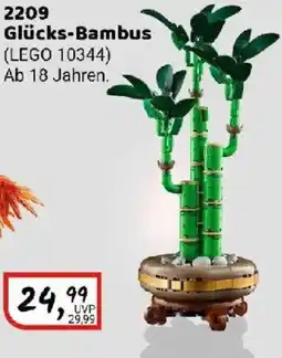 Idee+Spiel LEGO BOTANICALS 220 Glücks-Bambus (LEGO 10344) Angebot