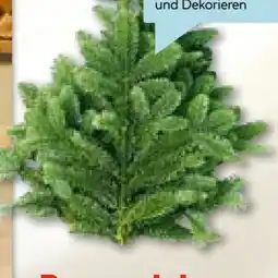 Hellweg Weihnachts Tannenzweige Angebot