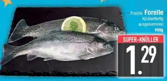 E-Center Frische Forelle Angebot