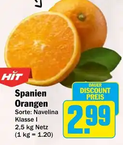 HIT Spanien Orangen Angebot