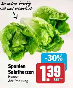 HIT Spanien Salatherzen Angebot