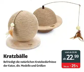 Das Futterhaus Kratzbälle Angebot