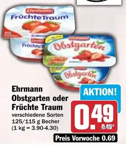 HIT Ehrmann Obstgarten oder Früchte Traum Angebot