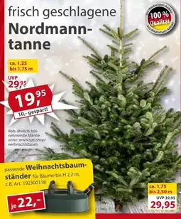 Sonderpreis Baumarkt frisch geschlagene Nordmanntanne Angebot