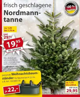 Sonderpreis Baumarkt frisch geschlagene Nordmanntanne Angebot