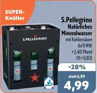Aktiv Irma S.Pellegrino Natürliches Mineralwasser Angebot