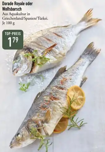 Galeria Markthalle Dorade Royale oder Wolfsbarsch Angebot