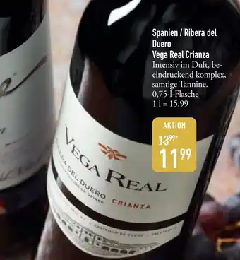Galeria Markthalle Spanien / Ribera del Duero Vega Real Crianza Angebot